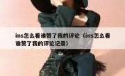ins怎么看谁赞了我的评论（ins怎么看谁赞了我的评论记录）