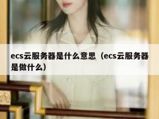 ecs云服务器是什么意思（ecs云服务器是做什么）