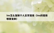 ins怎么复制个人主页链接（ins的链接哪里复制）