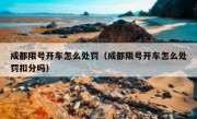 成都限号开车怎么处罚（成都限号开车怎么处罚扣分吗）
