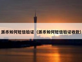 派币如何短信验证（派币如何短信验证收款）