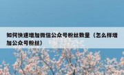 如何快速增加微信公众号粉丝数量（怎么样增加公众号粉丝）