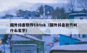 国外抖音软件tiktok（国外抖音软件叫什么名字）