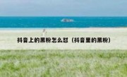 抖音上的黑粉怎么怼（抖音里的黑粉）