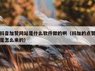 抖音加赞网站是什么软件做的啊（抖加的点赞是怎么来的）