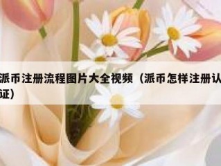 派币注册流程图片大全视频（派币怎样注册认证）