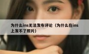 为什么ins无法发布评论（为什么在ins上发不了照片）