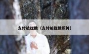 支付被拦截（支付被拦截照片）