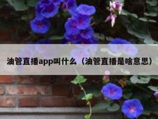 油管直播app叫什么（油管直播是啥意思）