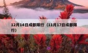 12月14日成都限行（11月17日成都限行）