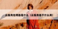 云服务处理器是什么（云服务器干什么用）