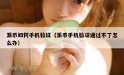 派币如何手机验证（派币手机验证通过不了怎么办）