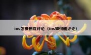 ins怎样删除评论（ins如何删评论）