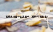 易码支付是什么意思啊（易码付 支付宝）