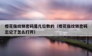樱花指纹锁密码是几位数的（樱花指纹锁密码忘记了怎么打开）