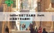 twitter冻结了怎么解冻（twitter冻结了怎么解封）