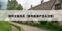 如何注册派币（派币新用户怎么注册）