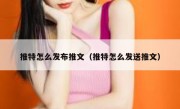 推特怎么发布推文（推特怎么发送推文）