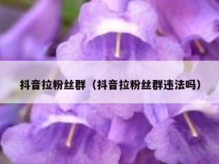 抖音拉粉丝群（抖音拉粉丝群违法吗）
