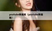 youtube数据库（youtube数据集）