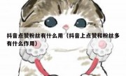 抖音点赞粉丝有什么用（抖音上点赞和粉丝多有什么作用）