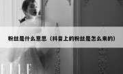 粉丝是什么意思（抖音上的粉丝是怎么来的）