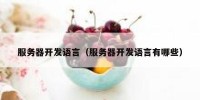服务器开发语言（服务器开发语言有哪些）