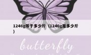 1246g等于多少斤（1246g是多少斤）