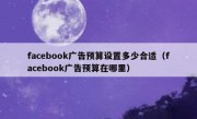 facebook广告预算设置多少合适（facebook广告预算在哪里）