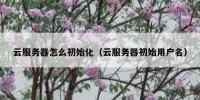 云服务器怎么初始化（云服务器初始用户名）