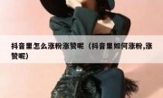 抖音里怎么涨粉涨赞呢（抖音里如何涨粉,涨赞呢）