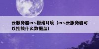 云服务器ecs搭建环境（ecs云服务器可以挂载什么数据盘）