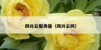 四川云服务器（四川云网）