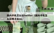 国内手机怎么玩twitter（国内手机怎么玩枫之谷m）