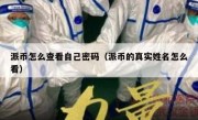 派币怎么查看自己密码（派币的真实姓名怎么看）