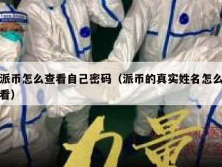 派币怎么查看自己密码（派币的真实姓名怎么看）