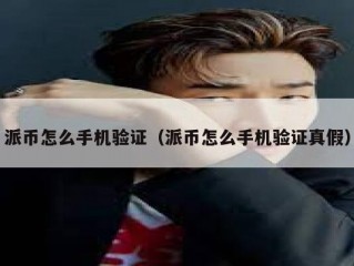 派币怎么手机验证（派币怎么手机验证真假）