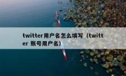 twitter用户名怎么填写（twitter 账号用户名）
