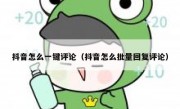 抖音怎么一键评论（抖音怎么批量回复评论）