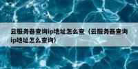云服务器查询ip地址怎么查（云服务器查询ip地址怎么查询）