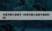 抖音外国人逗猴子（抖音外国人逗猴子是真的吗）