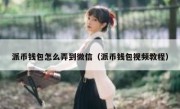 派币钱包怎么弄到微信（派币钱包视频教程）