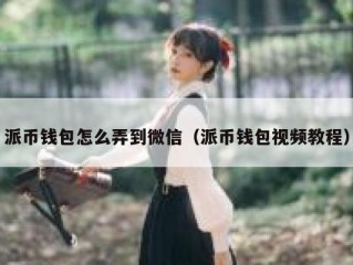 派币钱包怎么弄到微信（派币钱包视频教程）