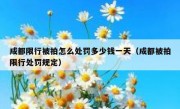 成都限行被拍怎么处罚多少钱一天（成都被拍限行处罚规定）