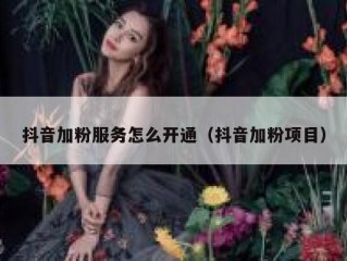 抖音加粉服务怎么开通（抖音加粉项目）