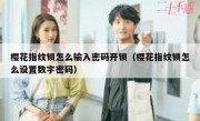 樱花指纹锁怎么输入密码开锁（樱花指纹锁怎么设置数字密码）