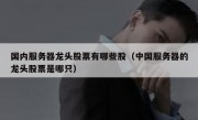 国内服务器龙头股票有哪些股（中国服务器的龙头股票是哪只）