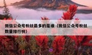 微信公众号粉丝最多的是谁（微信公众号粉丝数量排行榜）