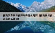 西安汽车限号日开车有什么处罚（西安限号日开车怎么处罚）