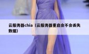 云服务器chia（云服务器重启会不会丢失数据）